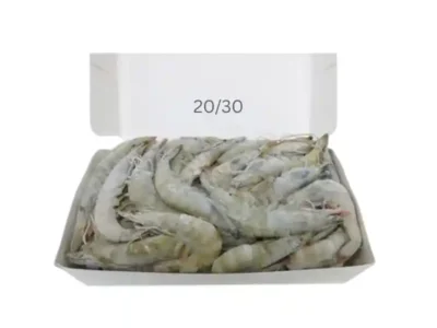 Frozen Shrimps 20/30 Ecuador