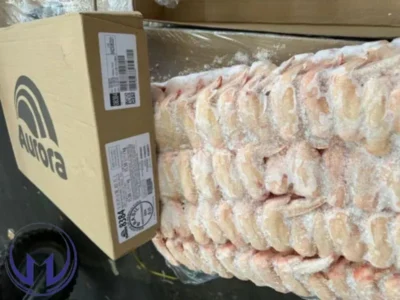 Aurora Chicken Wings Horeca market UAE Dubai Abu Dhabi