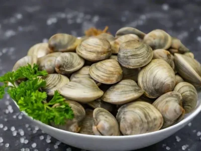 Fresh Clams UAE price Dubai Abu Dhabi