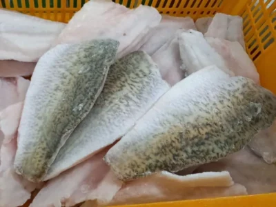 Frozen Barramundi Fillet price UAE Dubai Abu DHabi