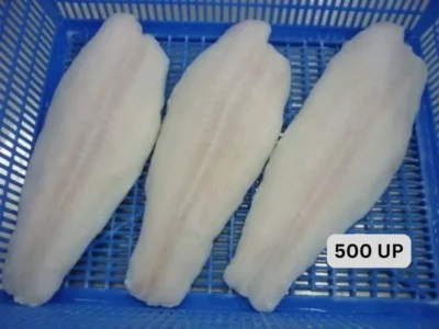 Frozen Basa Fillet 500 UP 3 pcs price UAE Dubai Ab Dhabi