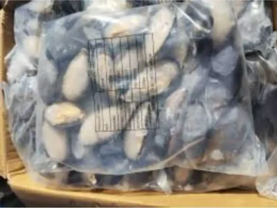 Frozen Half Shell Mussels China Price UAE Dubai Abu Dhabi