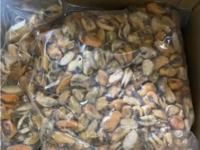 Frozen Mussels Meat China price UAE Dubai Abu Dhabi