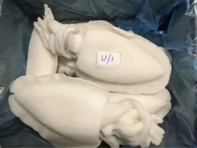 Frozen Cuttle Fish Cleaned 1 UP size price UAE Dubai Abu Dhabi