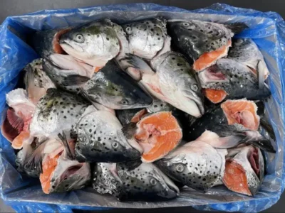 Frozen Salmon Head price UAE Dubai Abu Dhabi