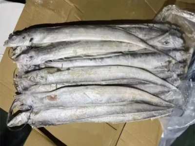Frozen Belt Fish Ribbon Fish price UAE Dubai Abu Dhabi