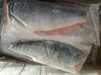 Frozen Salmon Fillet Skin on