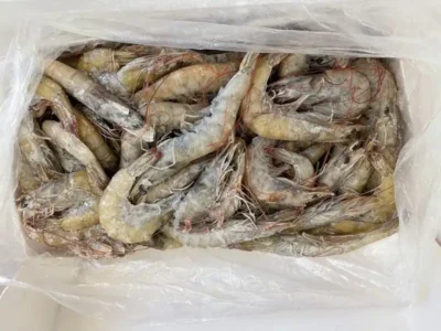 Frozen Iranian Shrimps 50/60 UAE