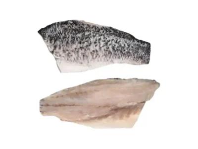 Frozen Barramundi Fillet 300-500 gram