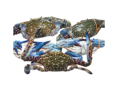 Frozen Whole Crab 100-200 gram