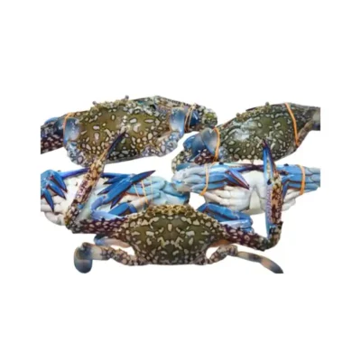Frozen Whole Crab 100-200 gram