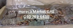 Frozen Lobster Whole 500-700 Gram supplier UAE Dubai Abu Dhabi