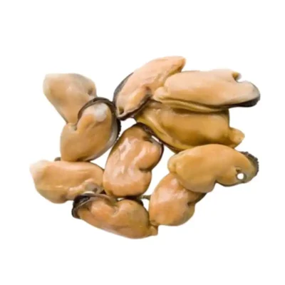 Frozen Mussels Meat China