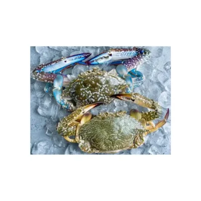 Fresh Crab Whole