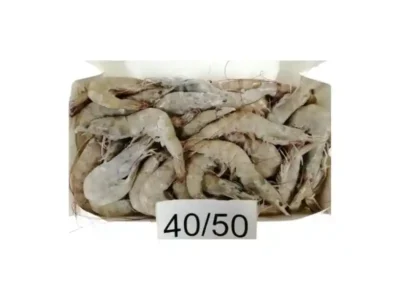 Iranian Shrimps 40/50 size