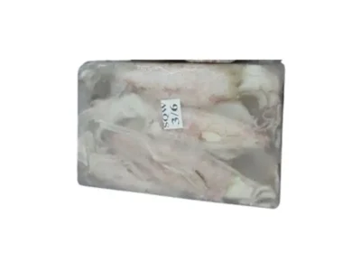 Frozen Squid Whole 3/6