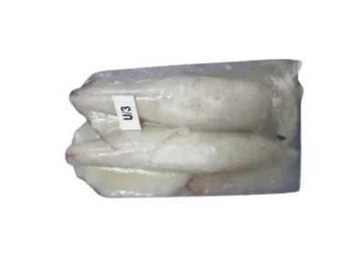 Frozen Squid Whole U3