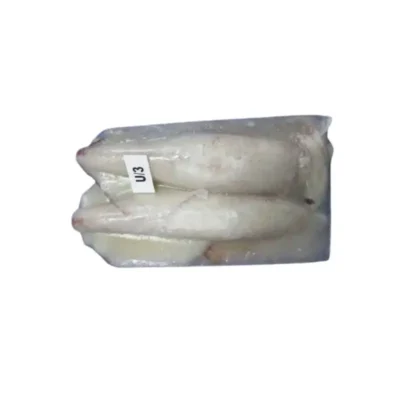Frozen Squid Whole U3