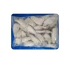 Frozen Squid Whole Cleaned 20/40 IQF