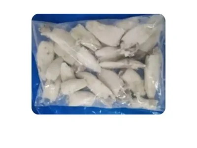 Frozen Squid Whole Cleaned 20/40 IQF