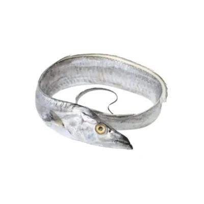 Frozen Belt Fish Ribbon Fish