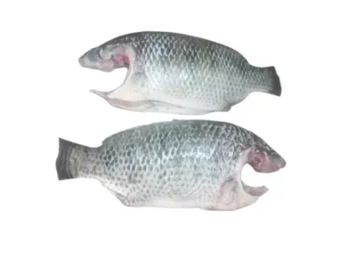 Frozen Tilapia Cleaned 100-200 Gram