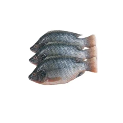 Frozen Tilapia whole 300-500 Gram Thailand
