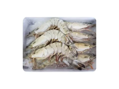 Frozen Shrimps Black Tiger 7 pcs