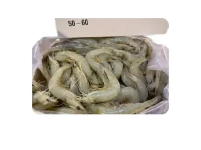 Frozen Iranian Shrimps 50/60