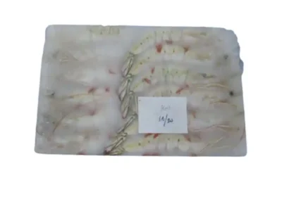 Frozen Shrimps Sea White 10/20