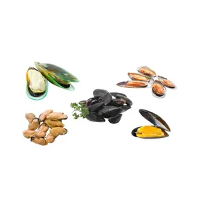 Frozen Mussels