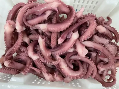 Frozen Octopus Tentacles China price UAE Dubai Abu Dhabi