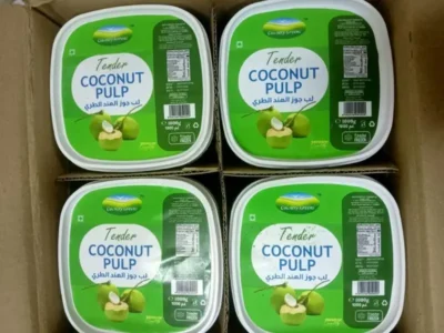 Frozen Tender Coconut Pulp price UAE Dubai Abu Dhabi