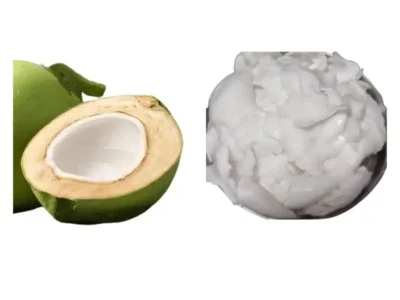 Frozen Tender Coconut Pulp price