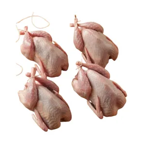 HORECA Chicken 2