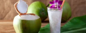 Frozen Tender Coconut Pulp 2 Frozen Tender Coconut Pulp supplier UAE Dubai Abu Dhabi