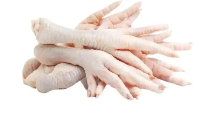 Frozen Chicken Feet big size price