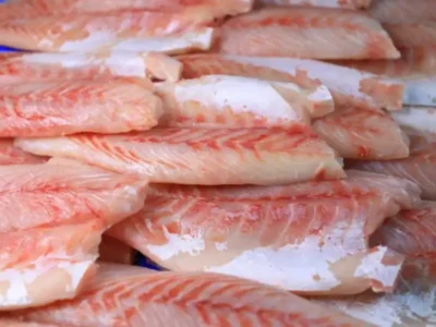 Frozen Nile Perch Fillet price UAE Dubai Abu DHabi