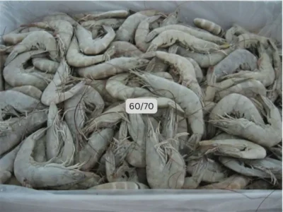 Frozen Iranian Shrimps 60/70 price UAE Dubai Abu Dhabi