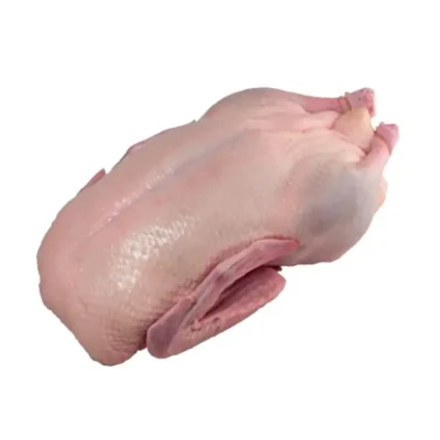 Frozen Duck whole