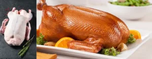 Frozen Duck whole suppliers in Dubai