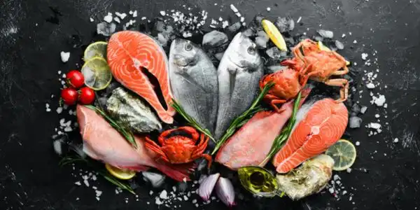 Frozen Fish suppliers in UAE