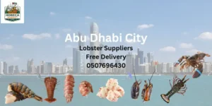 Frozen Lobster Suppliers in Abu Dhabi City Whole lobster