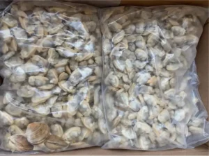 Frozen Clams Meat price UAE Dubai Abu Dhabi