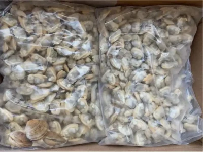 Frozen Clams Meat price UAE Dubai Abu Dhabi