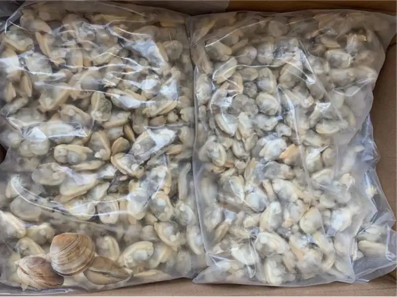 Frozen Clams Meat 1 Frozen Clams Meat price UAE Dubai Abu Dhabi