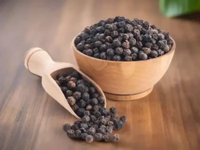 Whole Black Pepper price UAE Dubai Abu Dhabi