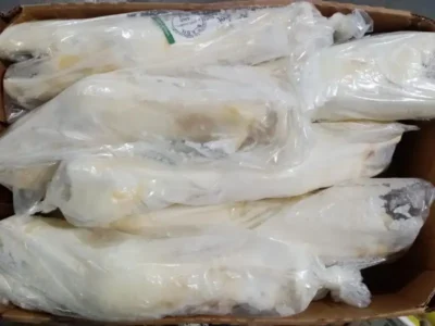 Frozen Brazilian Beef Feet price UAE Dubai Abu Dhabi