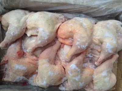 Frozen Chicken Leg Quarter price UAE Dubai Abu Dhabi
