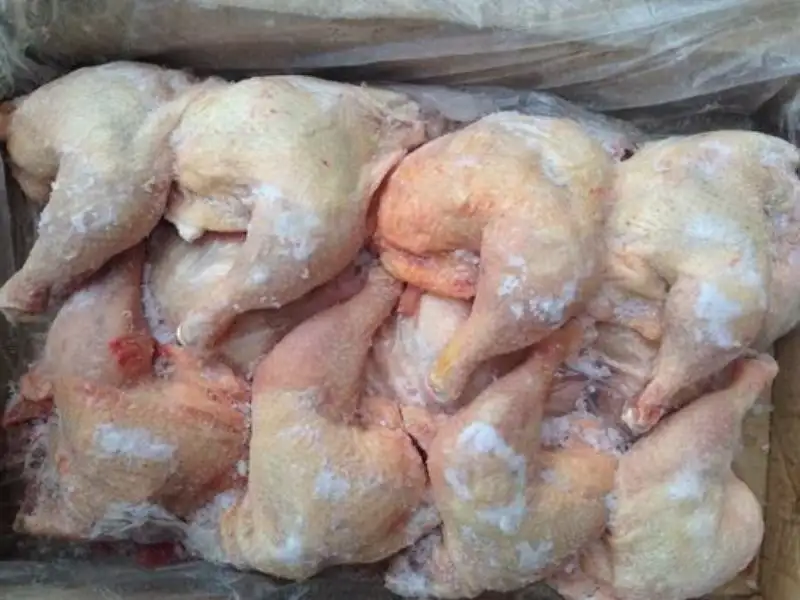 Frozen Chicken Leg Quarter 1 Frozen Chicken Leg Quarter price UAE Dubai Abu Dhabi